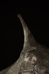 The tip of Ghost of Christmas Past, a dead Christmas tree wrapped in clingfilm.