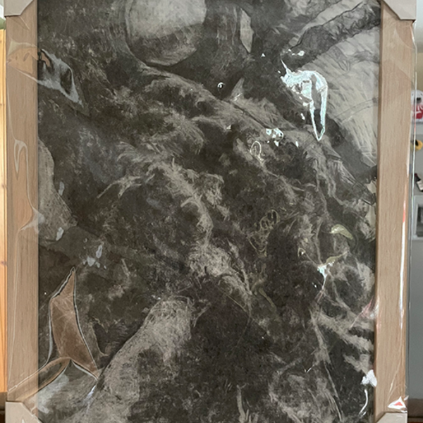 Framed print of original charcoal drawing of an ancient will growing at an angle in a field