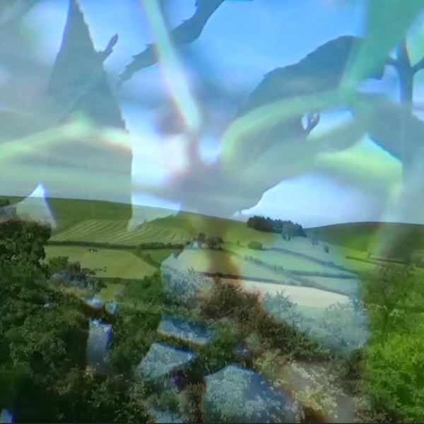 image of leaves overlaying a distant landscape