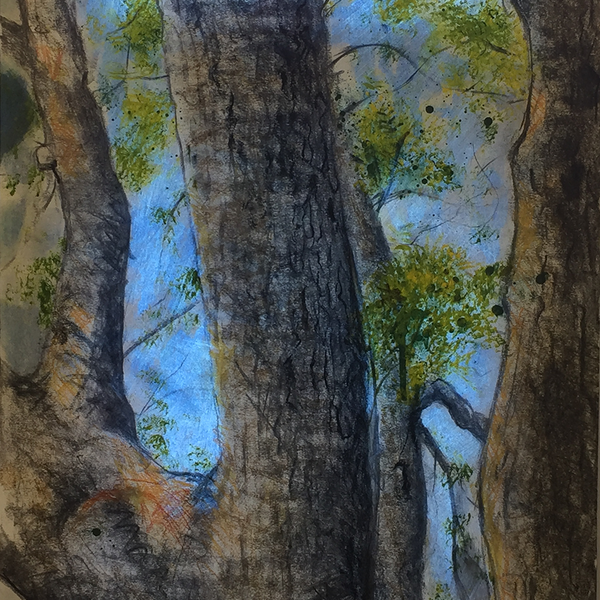 Mixed media work of trees with spring leaves against a blue sky