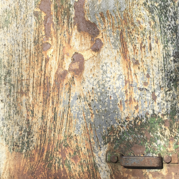 Texture of old Romney Hut at Rotherwas Estate