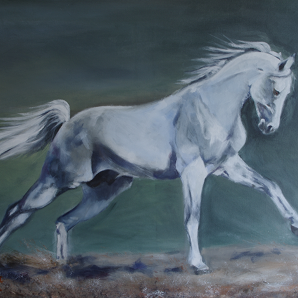 Cantering dapple grey horse against a dark green background