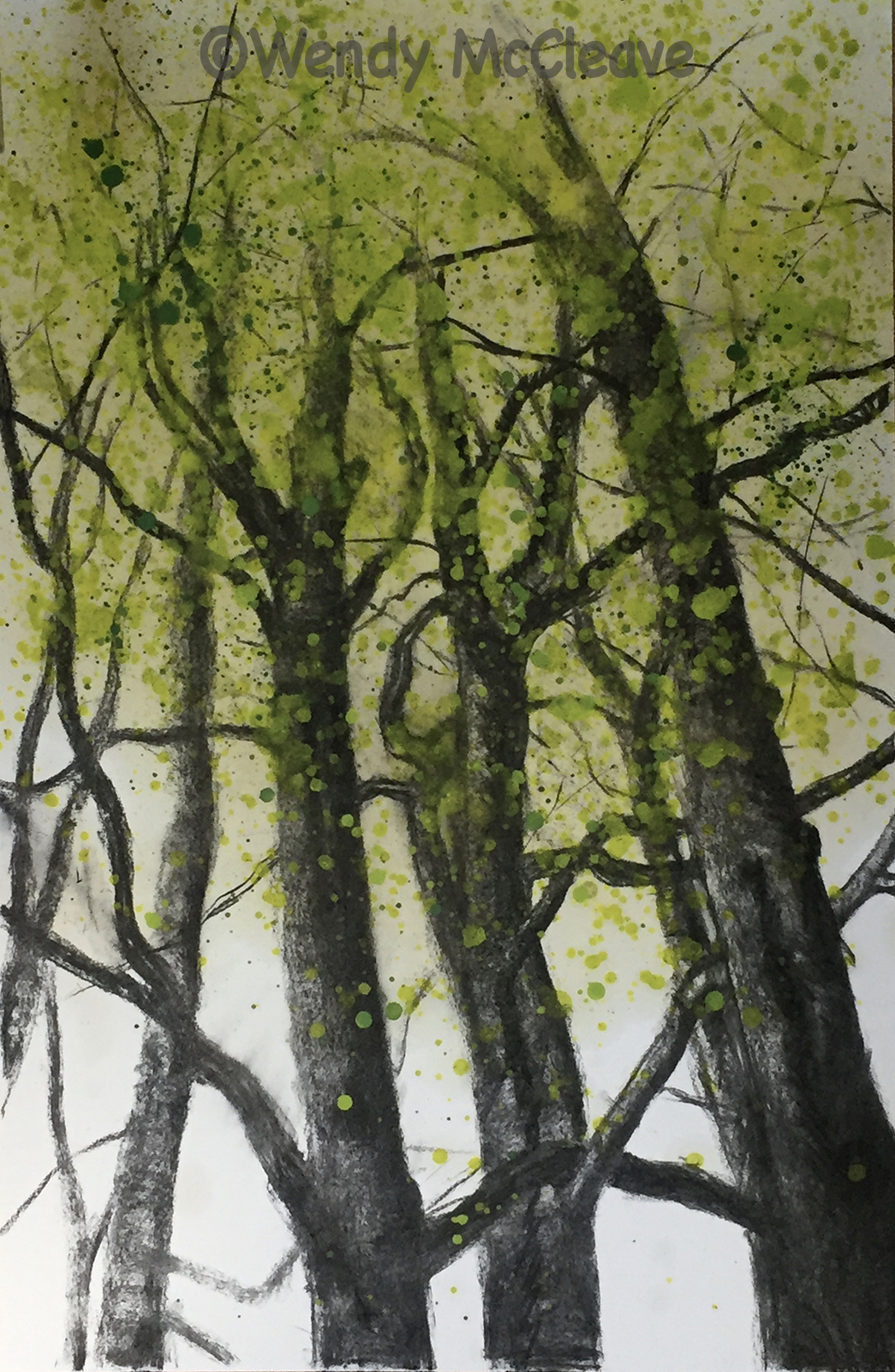 Mixed media work of tall trees with spring foliage