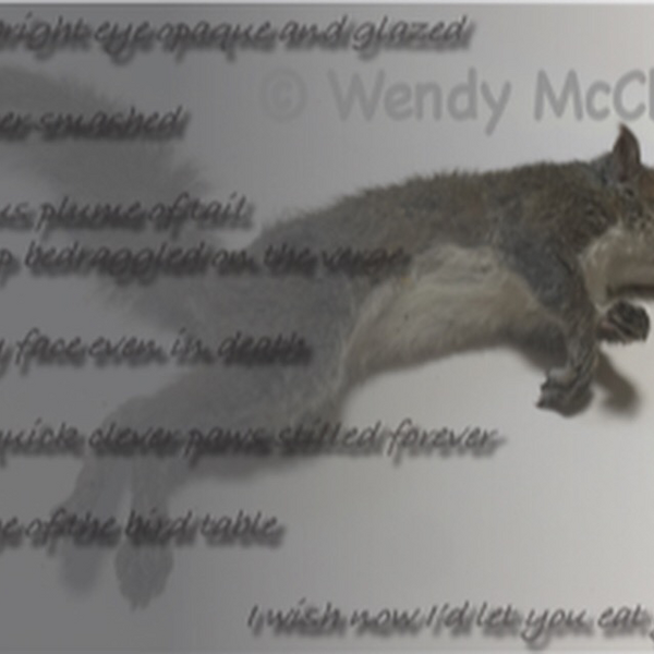Image of dead squirrel with text