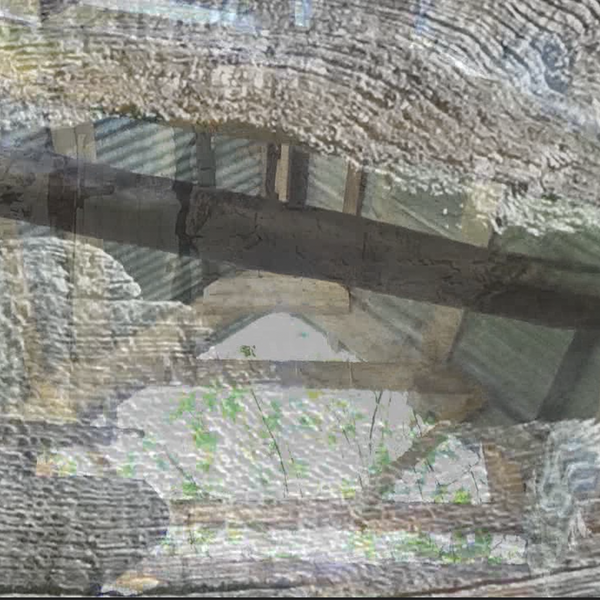 This Eden Film Still