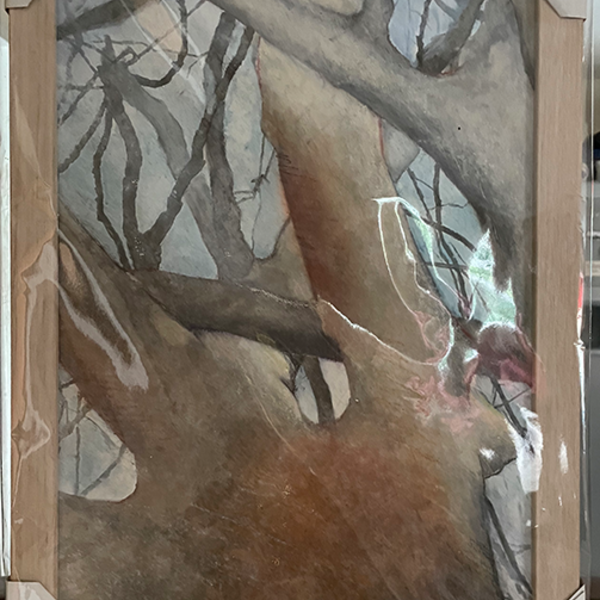 Framed photographic print of original drawing of entwined tree branches