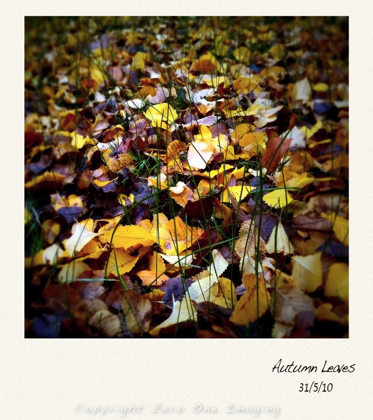 Autumn Leaves