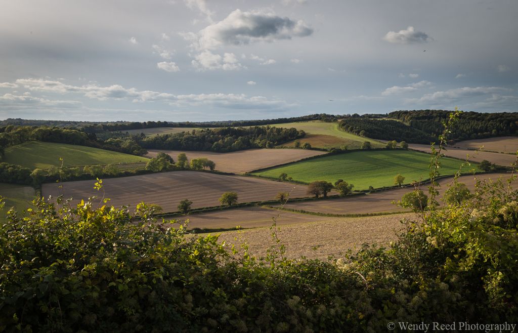Autumn in the Stonor Valley