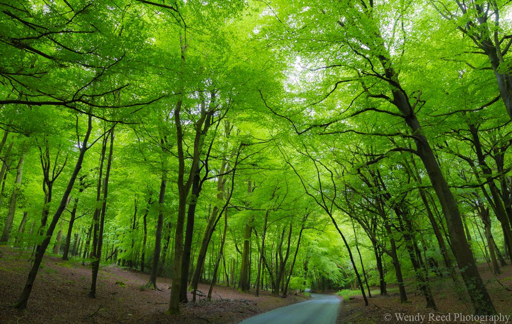 Coming into Stoke Row