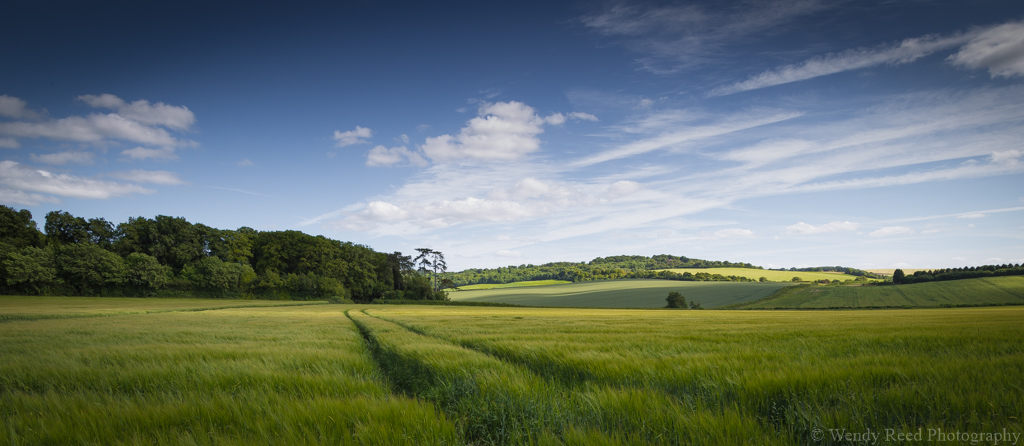 Crop fields near Ewelme
