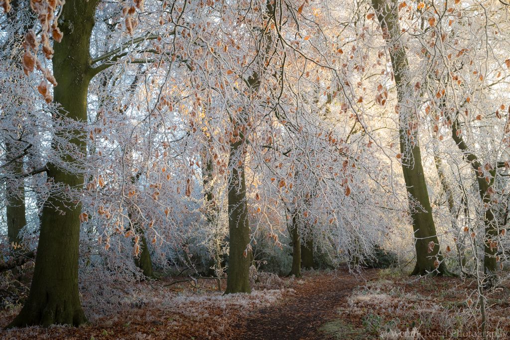 Fire and ice, Grims Ditch