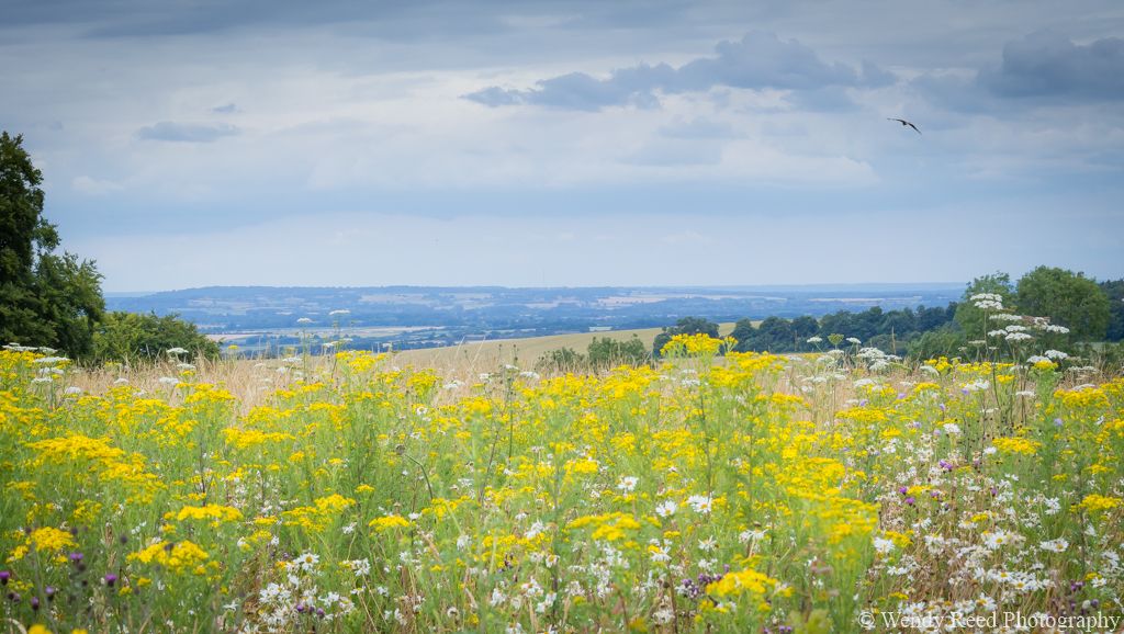 Ridgeway view, Nuffield