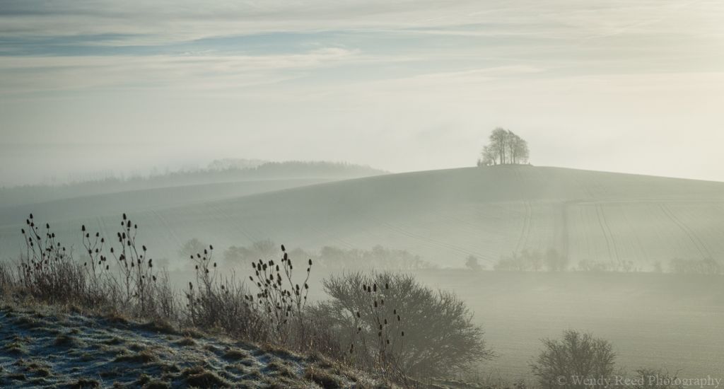 Misty morning at Brightwell Barrow