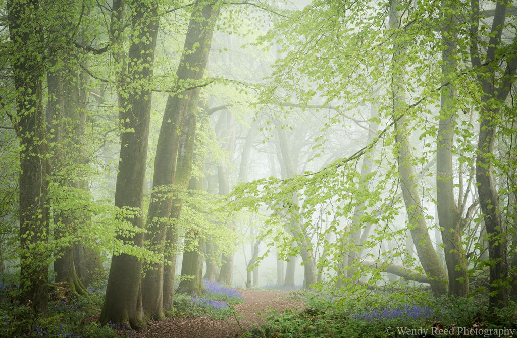 In the limelight, Streatley