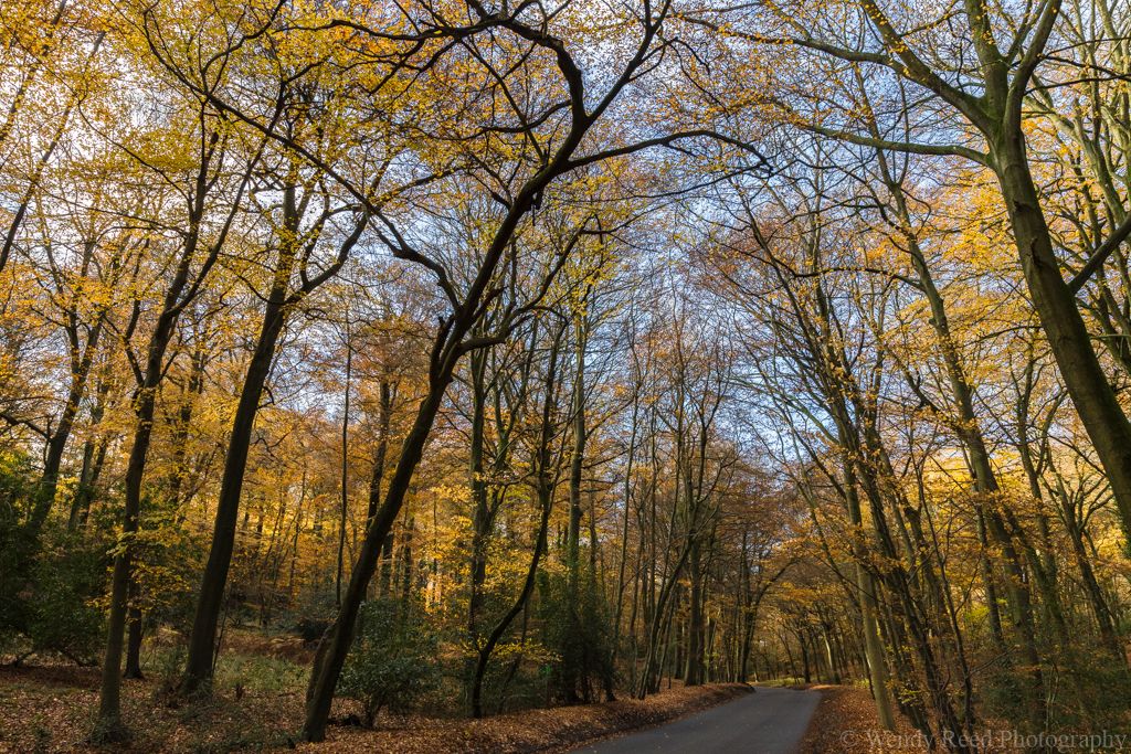 On the way to Stoke Row