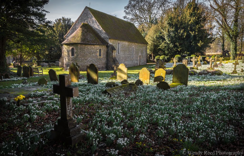 Snowdrops at St Botolph's