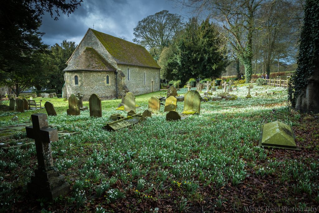 Snowdrops at St Botolph's, Swyncombe