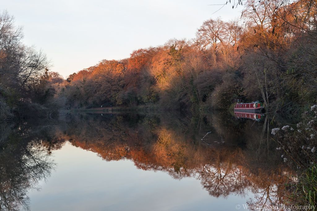 The golden hour, near Sonning