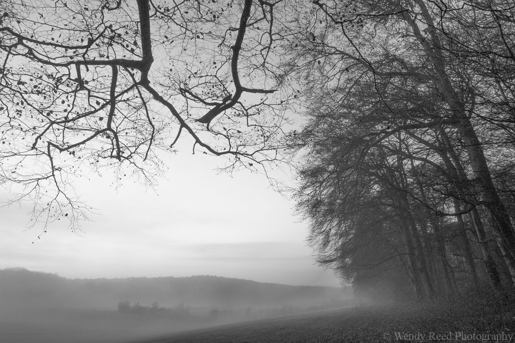 View from Grim's Ditch