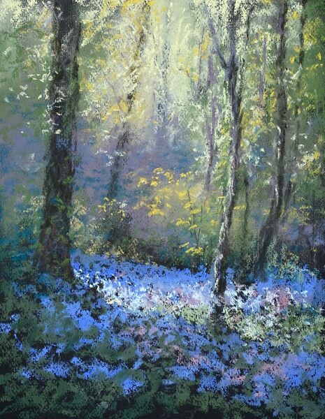 Guernsey Bluebell Wood