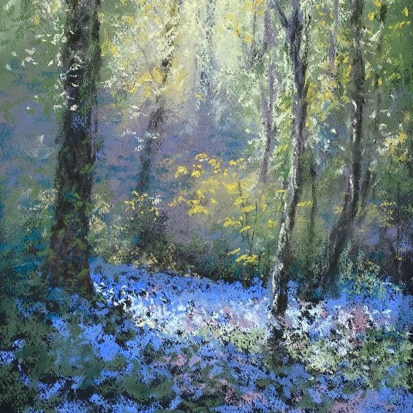 Guernsey Bluebell Wood