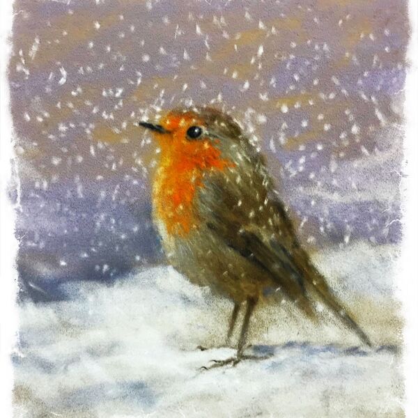 Winter robin