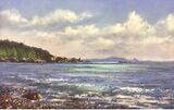 Fermain Bay