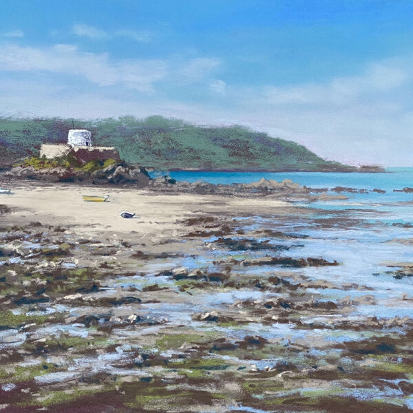 Fort Grey low tide