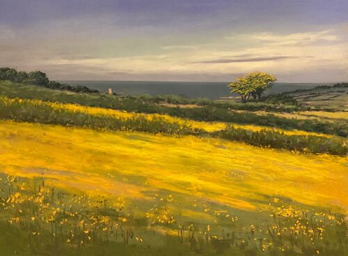 Yellow fields in Torteval