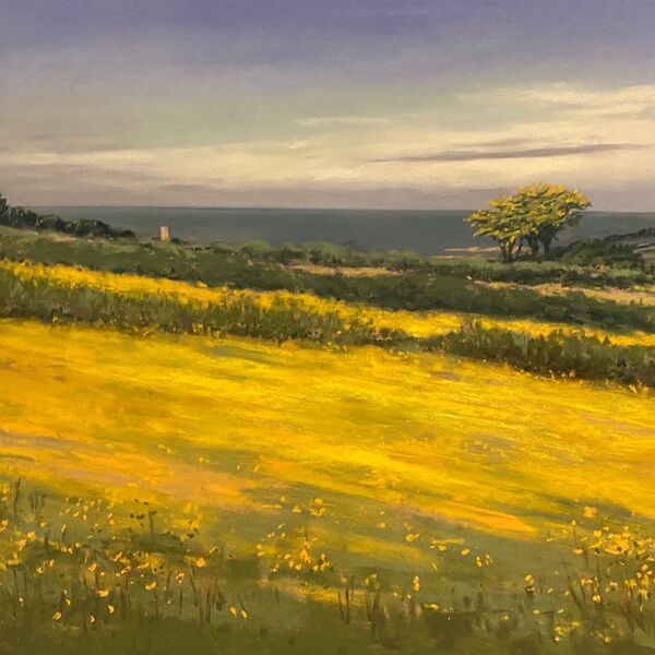 Yellow fields in Torteval