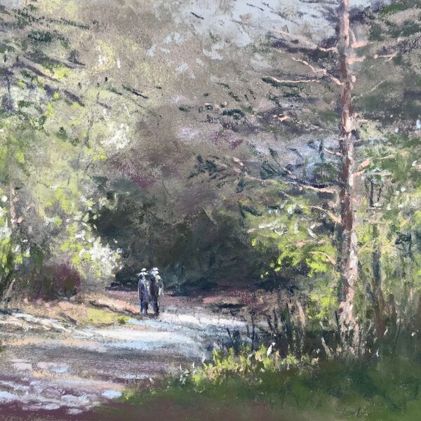 The Walk through Sausmarez Park