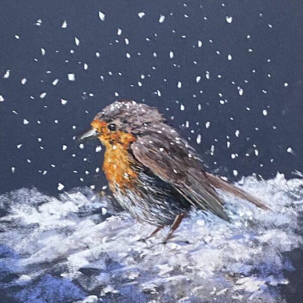 Winter robin