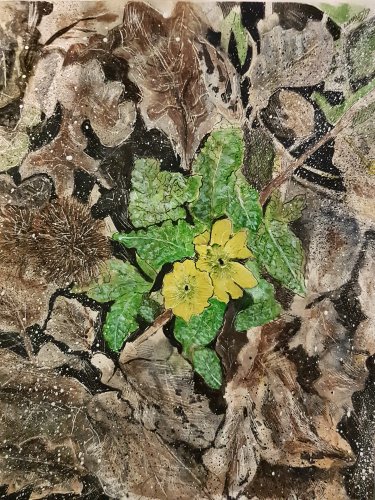 Spring Footprint 2018 (SOLD)