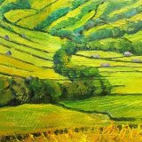 Meadows near Muker, Swaledale (oils) £95 (12x8”approx)