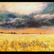 Gathering Storm over Rape Field near Carthorpe (oils) SOLD