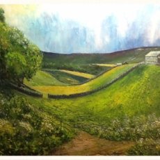 Rash near Muker. Swaledale (oils) 24x20”) SOLD