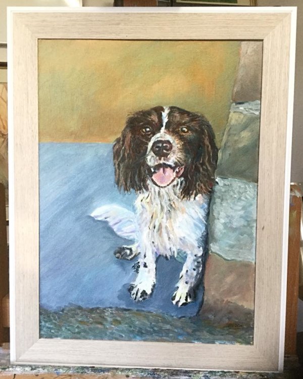 Alfie (oils)