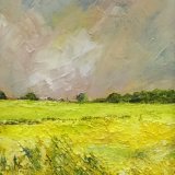 Rape Field (oils) £95 (8x11.5”)