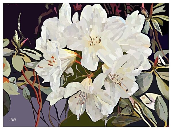 Rhododendrons (digital)