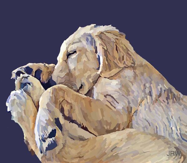 Max (digital)