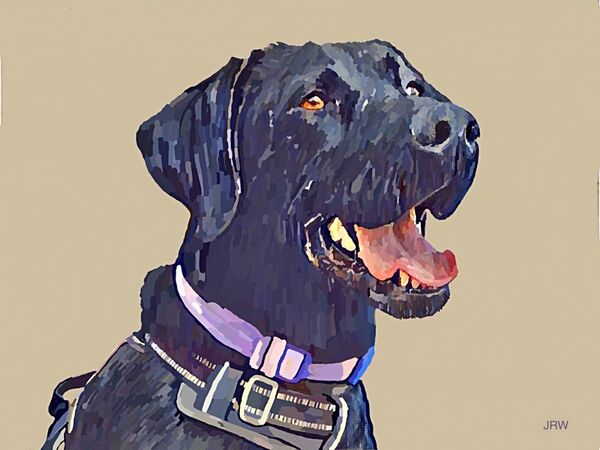 Meg (Digital)