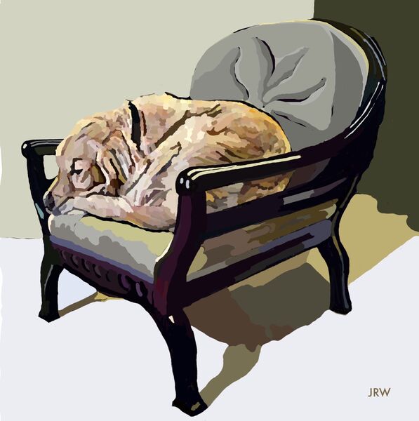 Max in “his” Chair (digital)