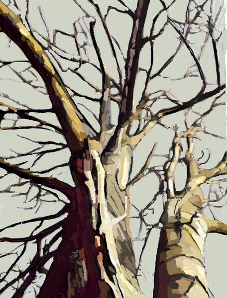 Two Winter Trees (digital)