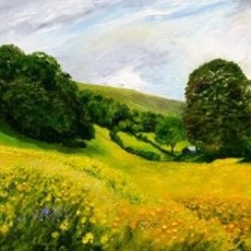 Summer Meadows near Muker, Swaledale (oils) SOLD