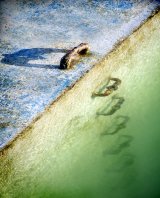 Going Down by Carol Tritton