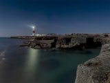Moonlit Bill by Martin Davenport
