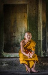 01 Young Monk by Jane Tearle