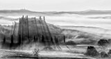 Mary Cantrille - Mist and shadows