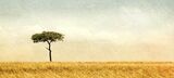 03 Mara tree by Lisa Bukalders