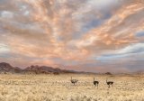 03 Namib Landscape by Lisa Bukalders LRPS
